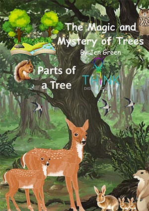 The Secret Life of Trees - Parts of a Tree