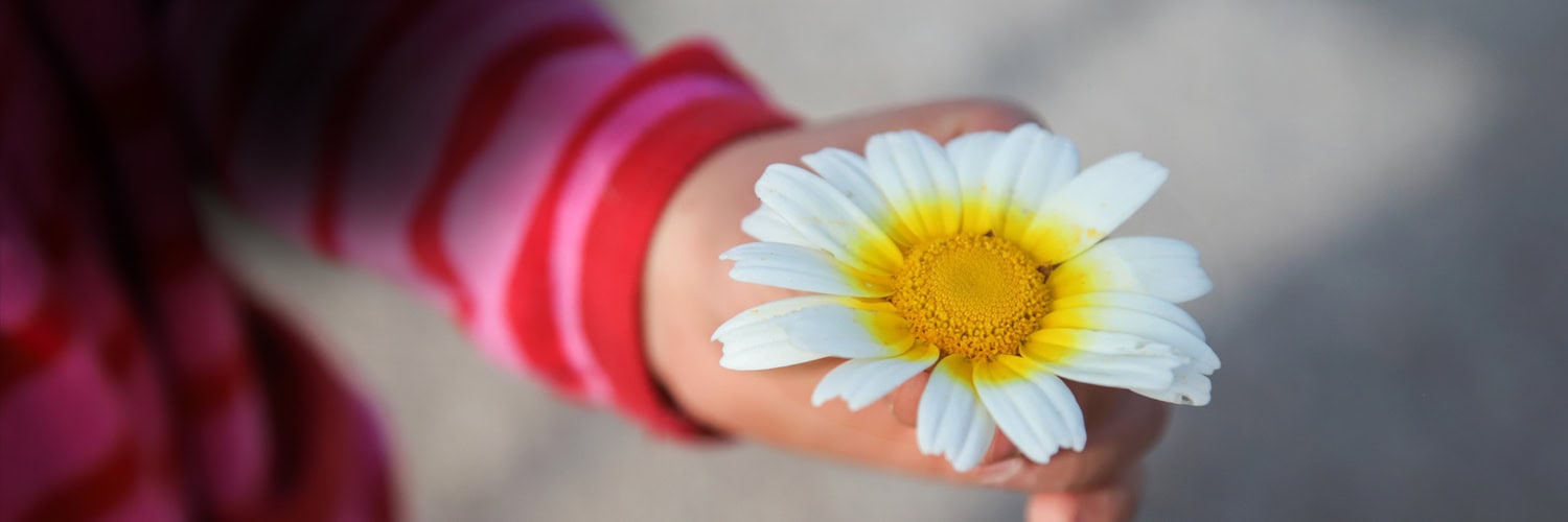Every great change in the world begins with something small – a seed in the soil, a hand reaching out, a voice that dares to speak.