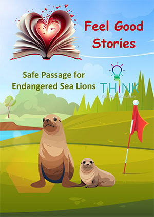 Safe Passage for Endangered Sea Lions Coastal road closed to protect a rare sea lion and her club.